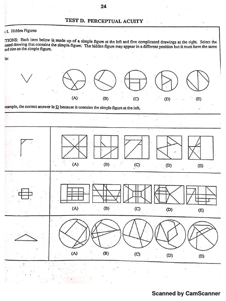 PICS Perceptual Acuity PDF PDF