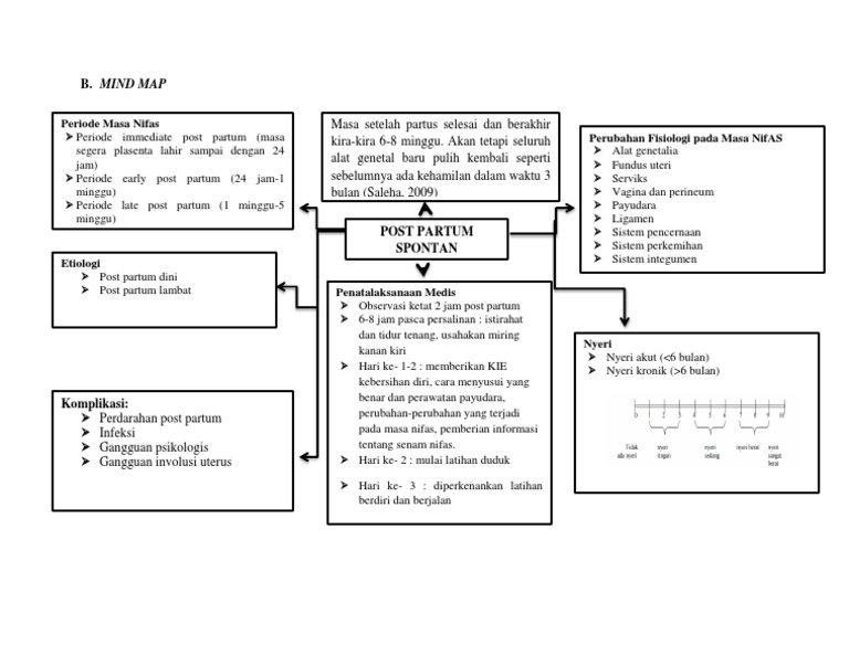 Mind Map Post Partum