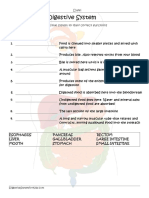 Parts of The Digestive System Matching Worksheet PDF