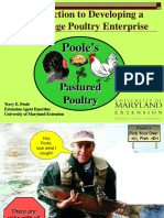 Developing A Free-Range Poultry Enterprise Terry Poole