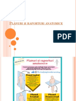 Planuri Și Raporturi Anatomice