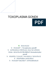 Toxoplasma Gondii