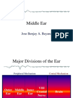 Middle Ear