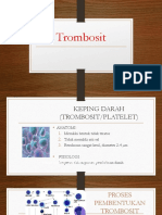 Trombosit dalam Hemostasis