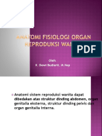 ANATOMI FISIOLOGI ORGAN REPRODUKSI WANITA-3.pptx