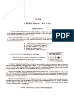 BFQ_Test.pdf