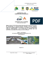 Informe Proyecto PLEC - Estudio Hidrológico, Hidráulico y Socavamiento