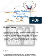 Embriologia e Histologia Bucodental