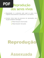 Rep_Assesxuada_1.pptx