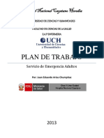 Plan de Trabajo Emergencia Adulto