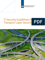 IT Security Guidelines For Transport Layer Security PDF