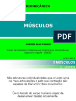 Aula Musculos Gabriel