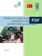 tinerii_pe_piata_muncii_final.pdf