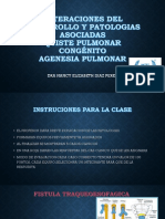 ALTERACIONES DEL DESARROLLO Y PATOLOGIAS ASOCIADAS