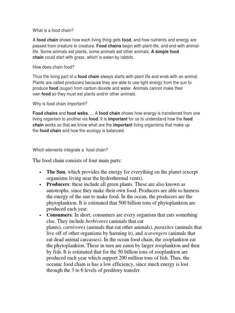 Understanding Food Chains and Ecosystems | PDF | Predation | Food Web