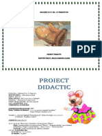 Proiect_didactic_-_Manusa