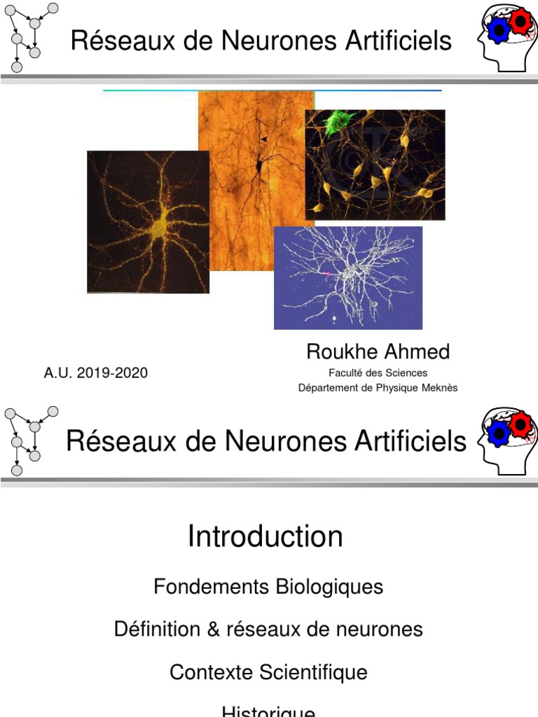 Introduction aux Réseaux de Neurones | PDF | Réseau de neurones ...