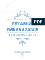 Estamos Embarazados