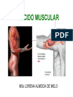 fisiologiahumana4-tecidomuscular-140304202313-phpapp02