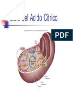 Tema15.pdf