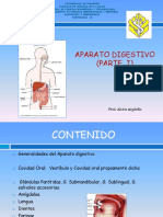 Clase 4 Digestivo I