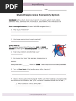 Circulatory System SE