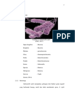 Salmonella Typhi