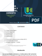 Cemento Radicular Ucc