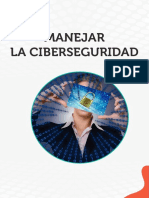 Lectura Ciberseguridad PDF