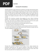 Download Teknologi DNA Rekombinan by Sulis Indriannto SN44719300 doc pdf