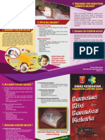 Leaflet Malaria - Ok PDF