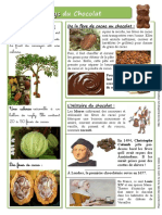 Au Pays Du Chocolat PDF