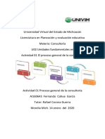 FCahue - Sintesis Proceso Gral de La Consultoría