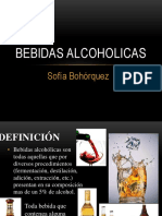 BEBIDAS ALCOHOLICAS expo