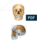 Latihan OSCE Anatomy