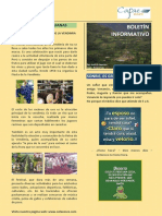 Boletin 5 Mar 2015 PDF