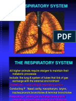 Respiratory System