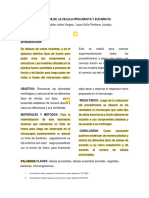 Perdomo Nota PDF