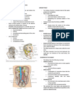 Retroperitoneal Space