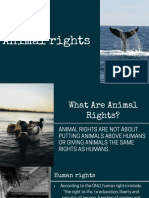 Animals rights versão 1