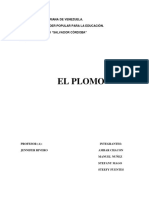 TRABAJO DEL PLOMO