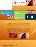Presentacion - Manejo Estomatologico en Pacientes Con Enfermedades Hemorragicas