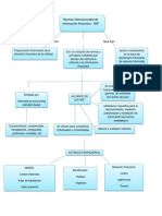 Mapa Conceptual Niif