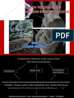 Materi-Prof.-I-Ketut-PLP.-Penglolaan.Lab_.pdf