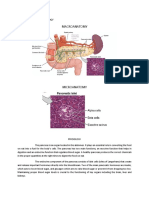 Anatomy and Physiology