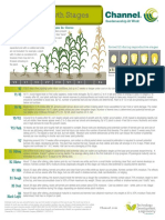 GrowthStages GuidesChannel