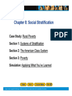 ch 8 - social stratification - notes - pp
