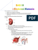 Sistem Ekskresi