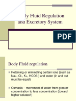 Body Fluid Regulation and Excretory System