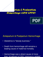 APH PPH_0.pdf